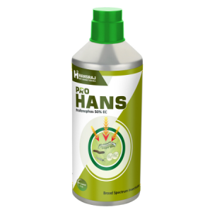 Pro Hans 