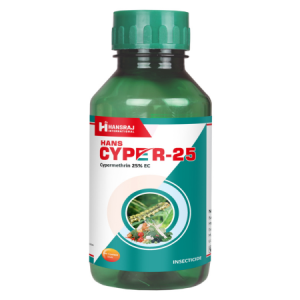 Hans Cyper-25