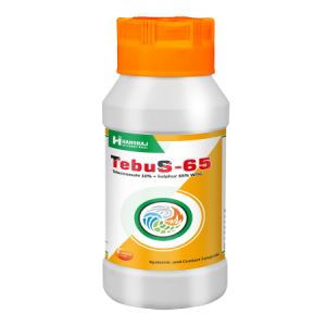 TebuS-65