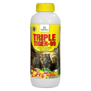 Triple Tiger-99