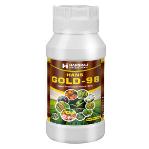 Hans Gold - 98