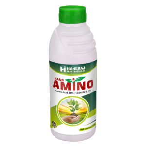 Hans Amino