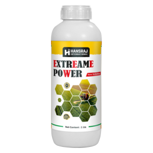 Extreame Power