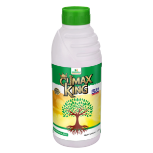Climax King 